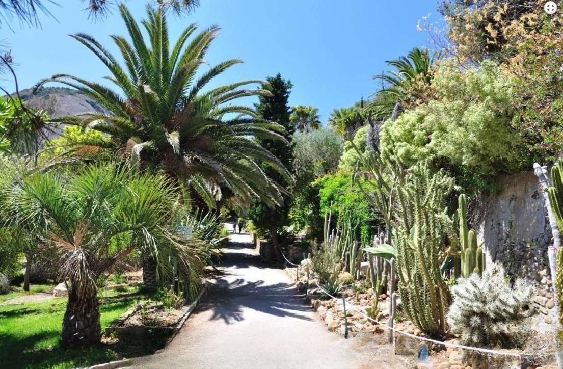 Logement Climatise Avec Jardin Et Parking Pour 2 Personnes En Bord De Plage Daire La Ciotat Dış mekan fotoğraf